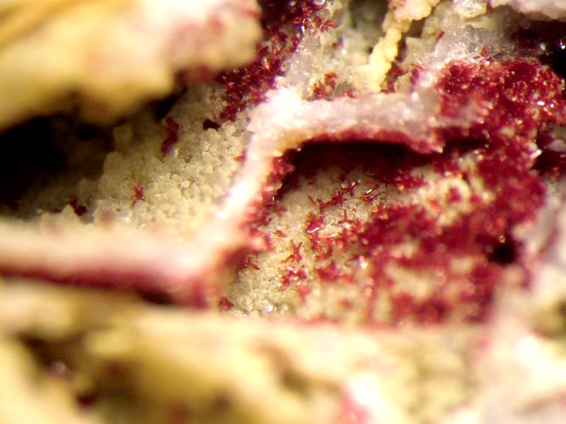 carminite